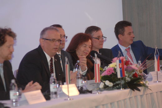 20141113_SarioExF_7849.JPG
